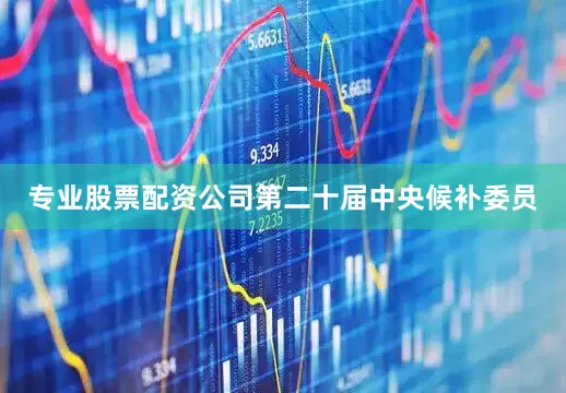 专业股票配资公司第二十届中央候补委员